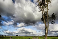 博恩茅斯主场强势，收获胜利