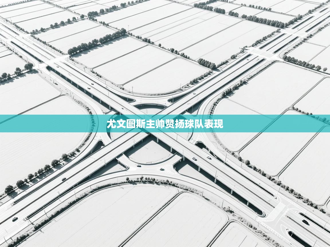 尤文图斯主帅赞扬球队表现  第1张